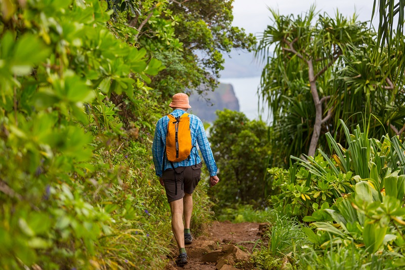 Hike in Hawaii - Dominican Travel Pro
